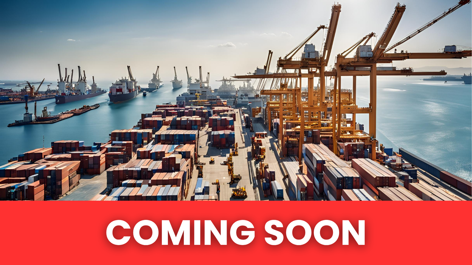 Comprehensive Procurement Administration For Port Equipment